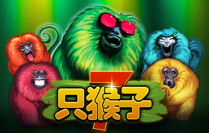 风云体育app官网